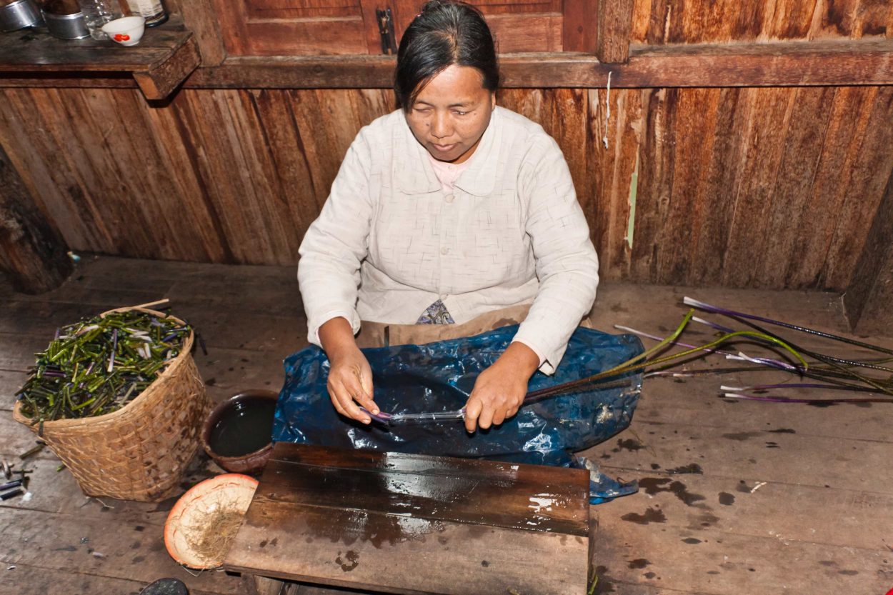 Why Is Lotus Silk so Valuable? Nspirement