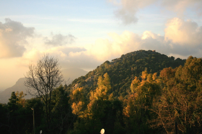 Mountain summit at sunset with trees in the foreground.