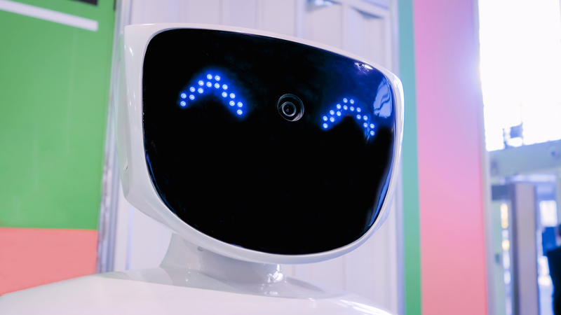 The Cute and Cuddly World of Robots: Bringing Joy and Innovation ...