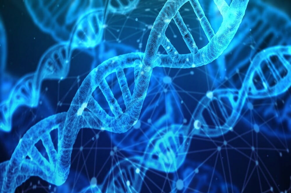 Much has changed since we first wrote about Neanderthal DNA in 2017. Researchers can now say when the two peoples met and for how long.