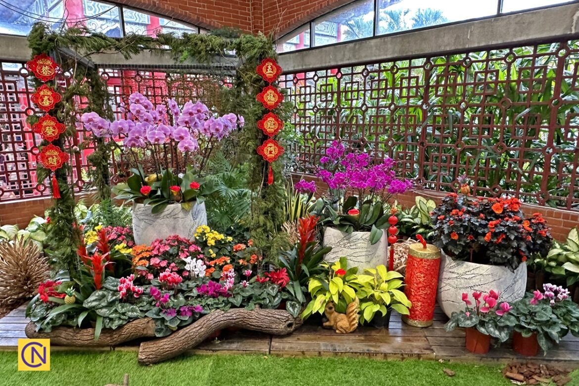 2025 Taipei Shilin Residence Spring Festival Flower Exhibition
