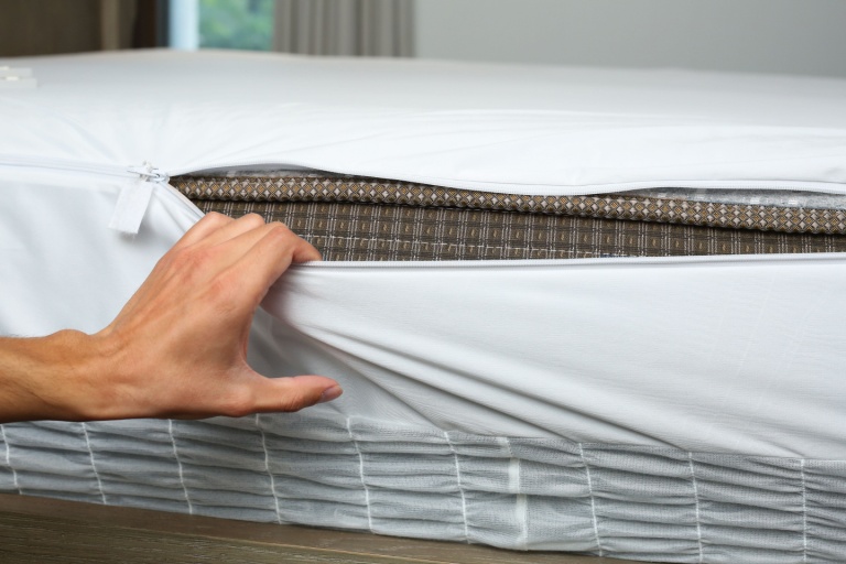 According to a survey conducted by Sleep Doctor in February 2024, about one in seven American travelers had encountered bed bug-infested mattresses within the past year — alarming data.