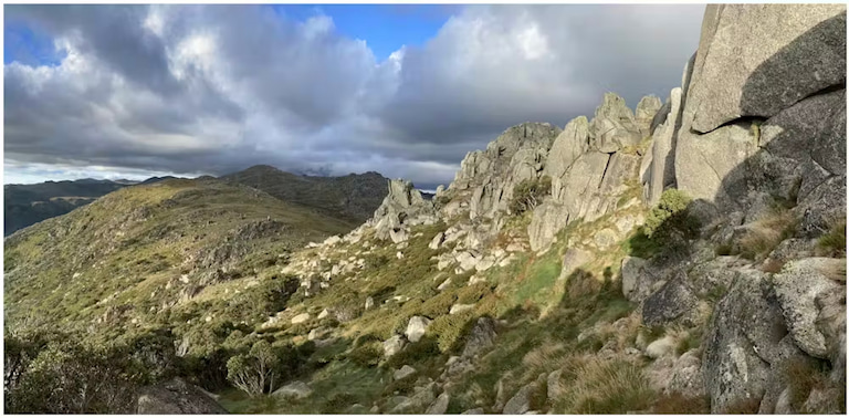 Endless thousands of generations of bogong moths have slept through summer in a few specific caves dotted across these outcrops.