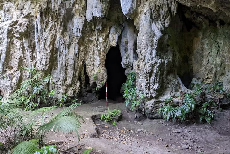 We found evidence of rice in the Ritidian Beach Cave, which would have been used for ceremonial purposes.