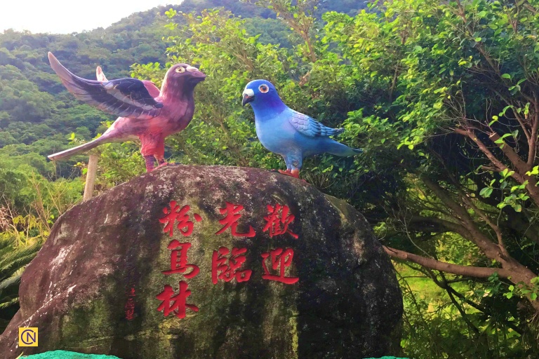 The Fenniaolin Fishing Harbor got its name because many wild pigeons nested near the port in the past.