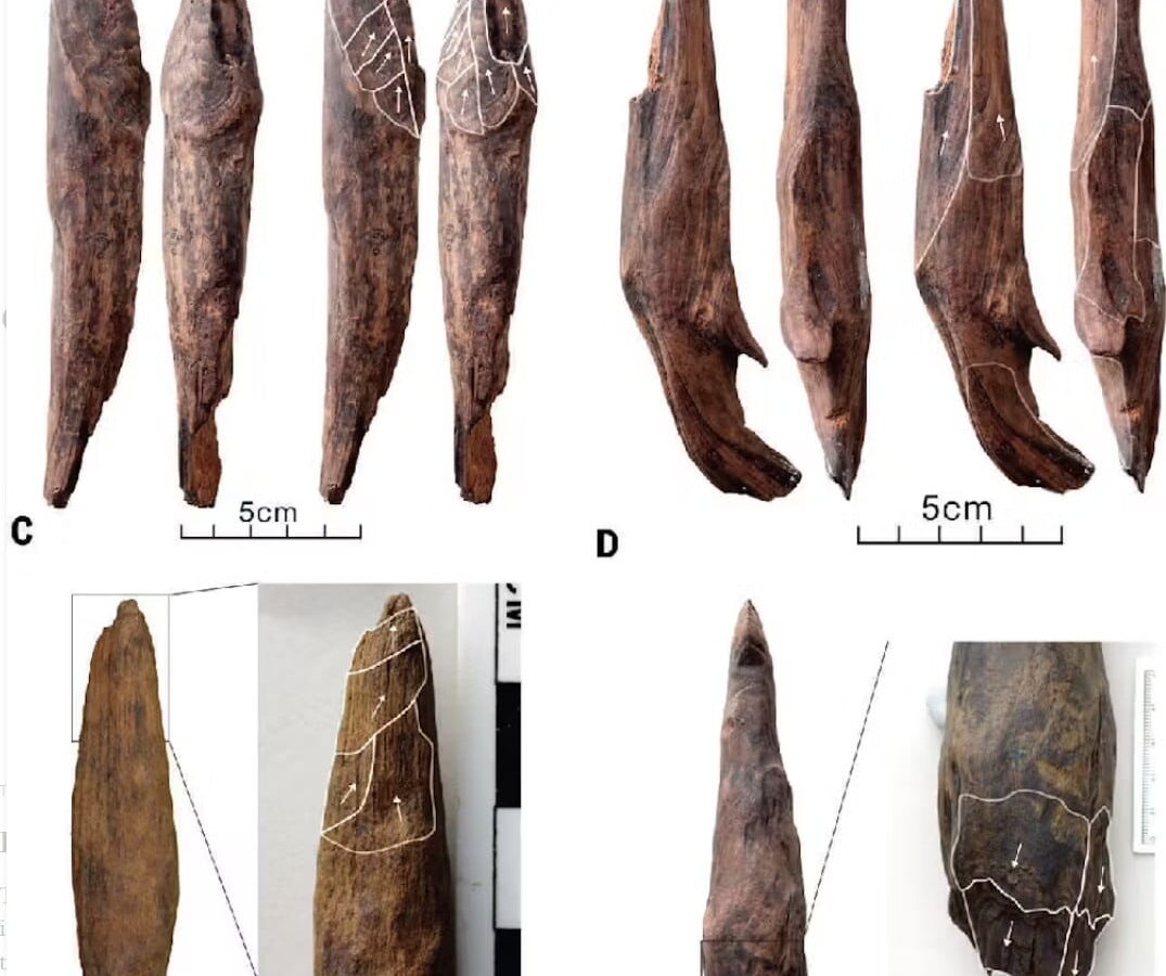 The wooden tools from Gantangqing took a variety of forms.