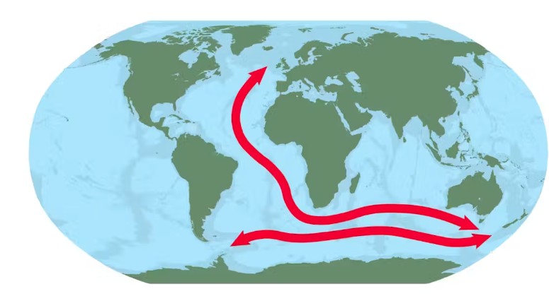 Deep-sea ‘highways’ where brittle stars disperse across the Atlantic and Indian oceans.