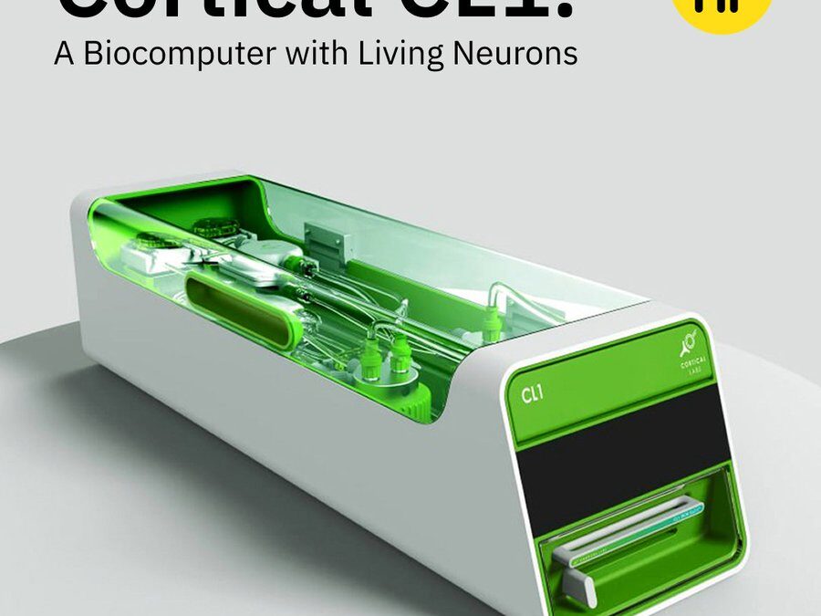 Cortical Labs' CL1
