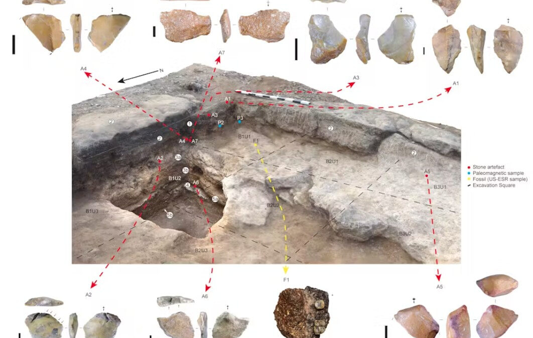 Stone tools and fossils excavated from ancient sandstone layers at Calio.