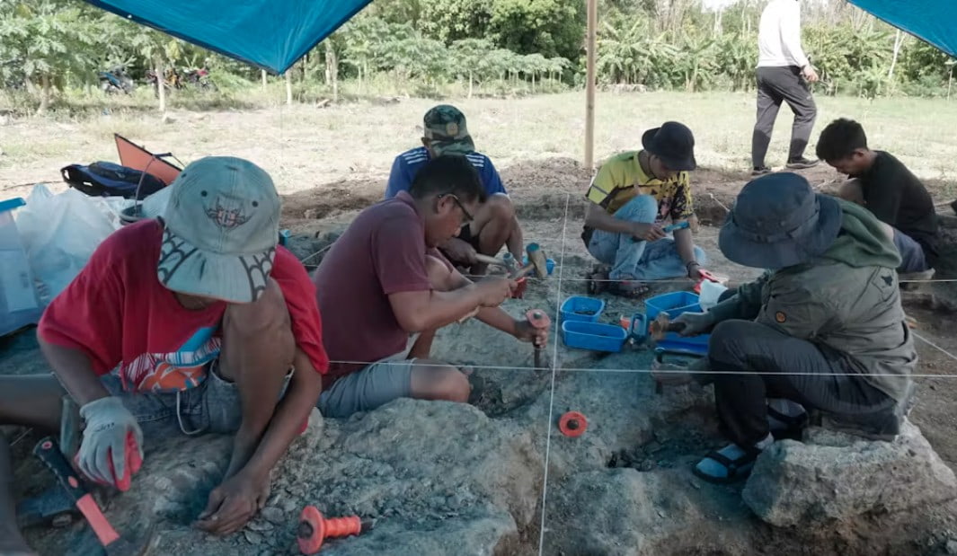Excavations at the Early Pleistocene site of Calio in South Sulawesi, Indonesia.