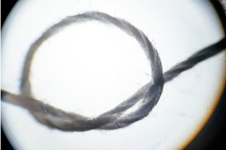 An extreme close-up of a sewing thread shows the individual fibers, made up of millions of invisible, convoluted cellulose molecules.