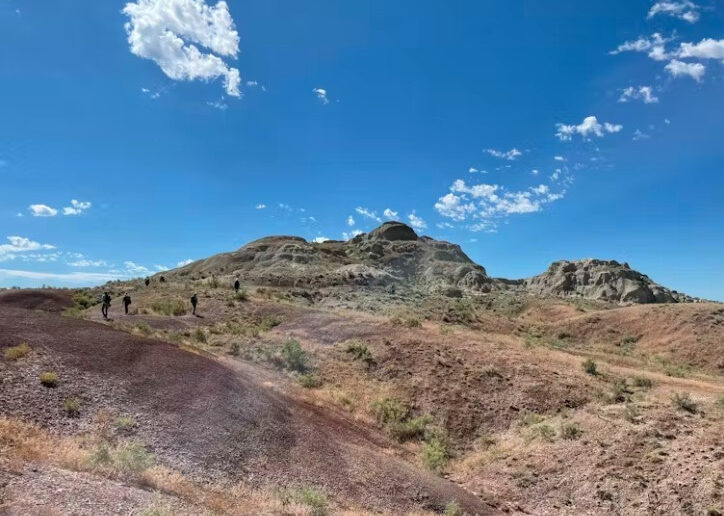 Paleobotanist Scott Wing, palynologist Vera Korasidis, and colleagues are searching for new pollen samples in Wyoming from 56-million-year-old rocks.