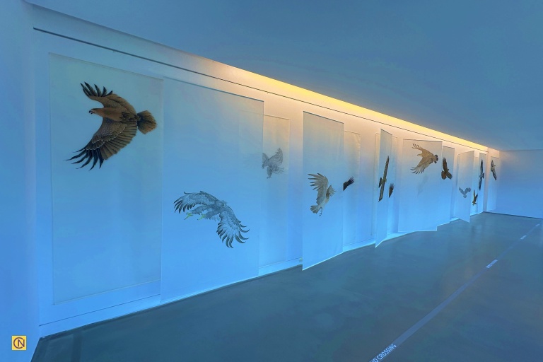 The Flying Kites series, displayed on translucent gauze scrolls featuring soaring kites.