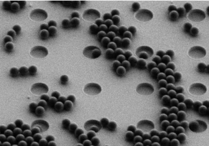 Nanoplastic particles are captured by cavities in the optical sieve.