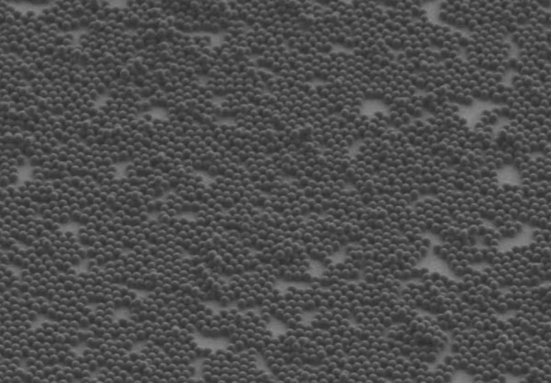 Nanoplastic particles with a size below one micrometer.