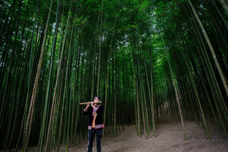 Value is defined by what one can endure, as this story illustrates: Two pieces of bamboo were cut, and one became a flute, while the other became a clothes pole.