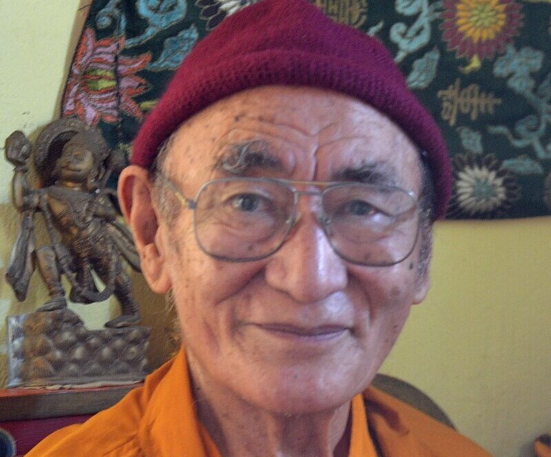 Just before the unrest, Karma Rinpoche, an 87-year-old Nepali monk, spoke publicly about his visions of the future at the Deva Monastery in Kathmandu. 