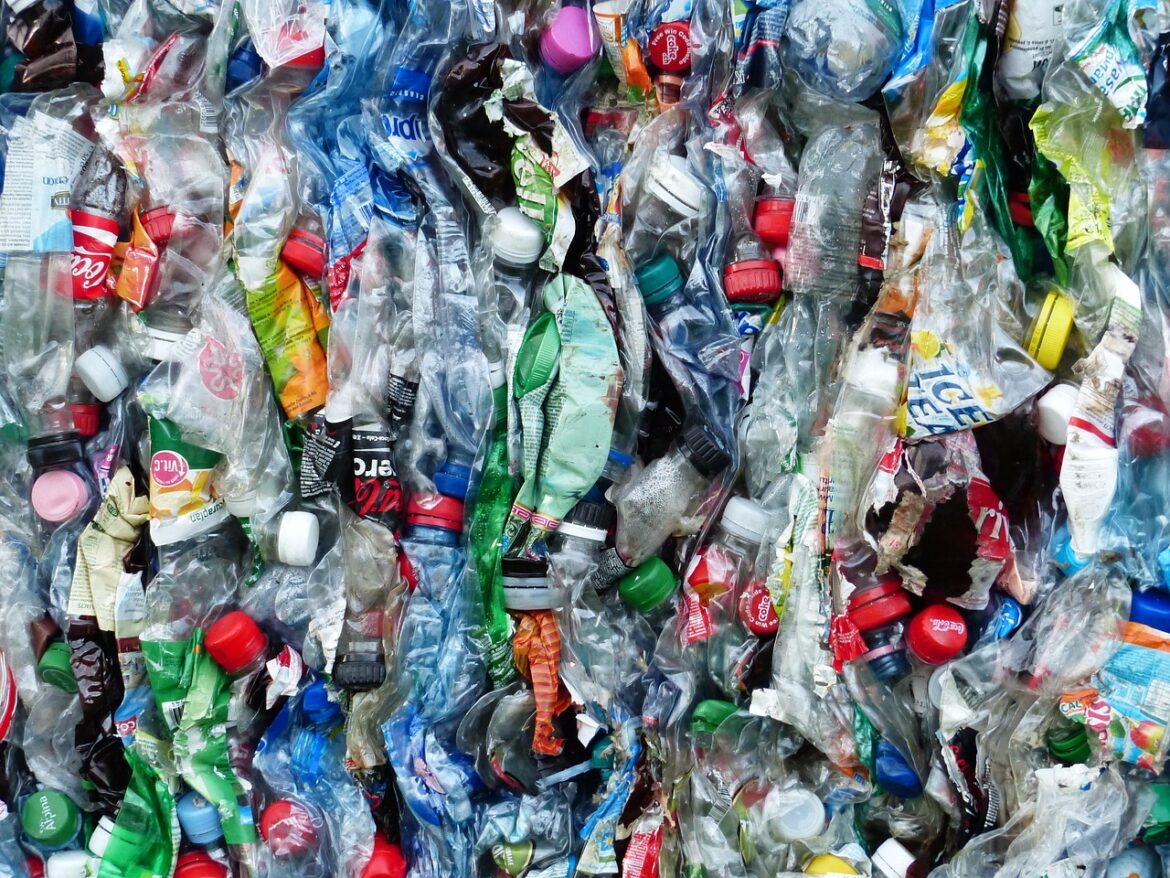 Discarded plastic bottles crushed for recycling.