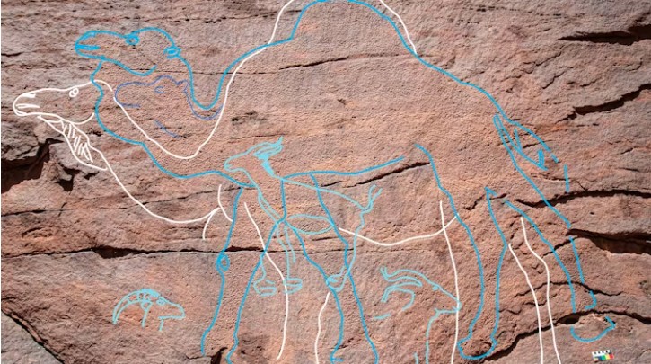 Animal rock engravings.