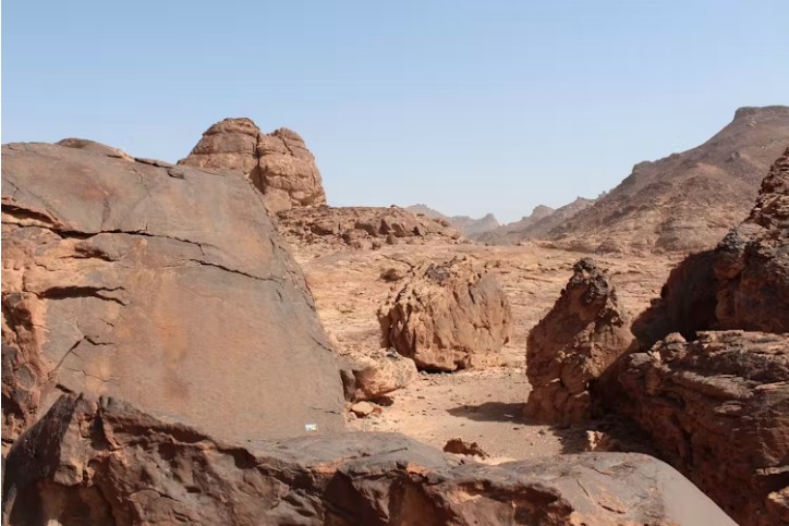 The engravings are near the southern edge of the Nefud Desert in Saudi Arabia.