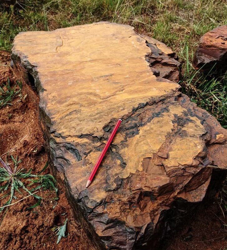 Strikingly red fossil-bearing rocks of McGraths Flat are composed of an iron-oxyhydroxide mineral called goethite.