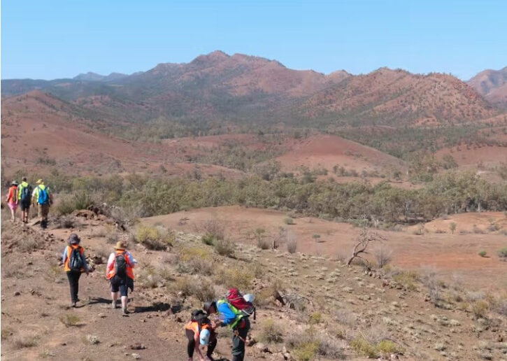 The Enorama diapir is in the iconic Flinders Ranges in South Australia.