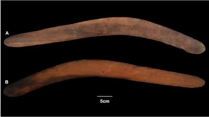 Both sides of the Yarra Junction wangim (boomerang) (A-B).