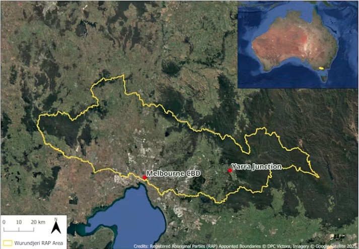 The wangim was found at Yarra Junction, east of Melbourne.