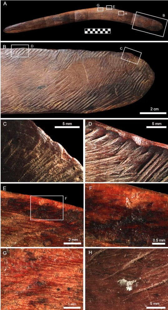 Details of wear patterns and residues identified on the wangim (boomerang), including blood (E-G).