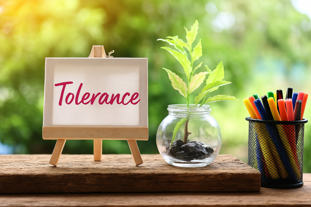 Small canvas with the word 'tolerance' on it.