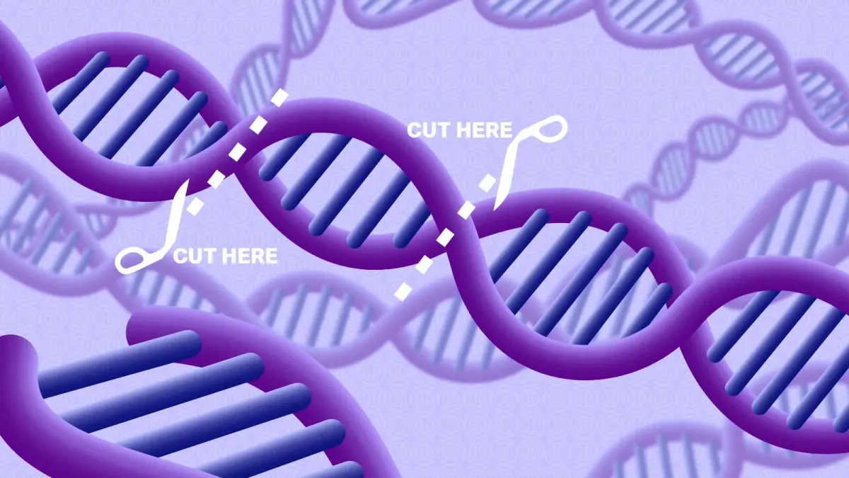 crispr-cas9