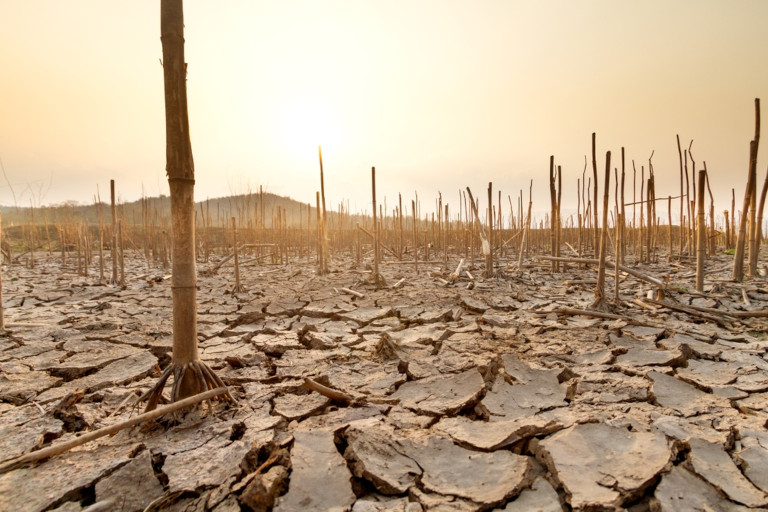 Drought speaks to excess — rulers extracting too much and societies consuming beyond measure.