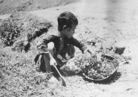 A boy during the Great Famine.