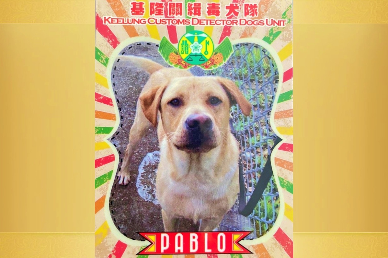 Pablo, the veteran Taiwan Customs detector dog, whose remarkable nose helped seize hundreds of kilograms of illegal drugs.