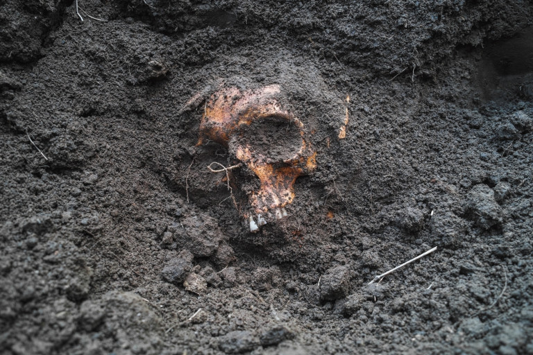 Human skull partially buried in the ground.