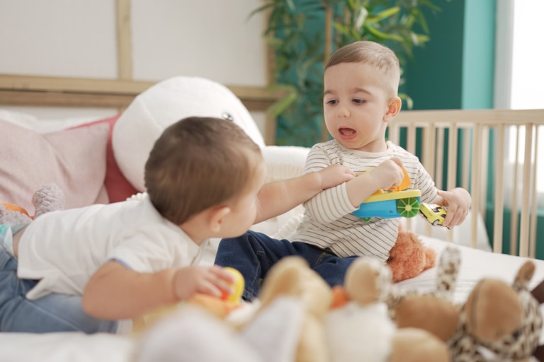 Toy toddlers together in a playpen with one reaching to take a toy away from the other.