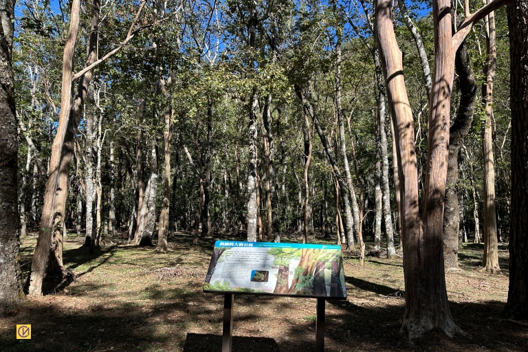 Aowanda's extensive self-guided trails offer an easy path for visitors to explore the rich ecology and natural beauty of the 'Hometown of Maples.' 