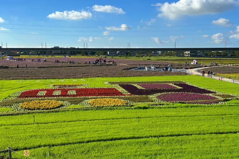 The Taoyuan Mesona Festival transforms the blooming mesona fields into an enchanting fairytale world.