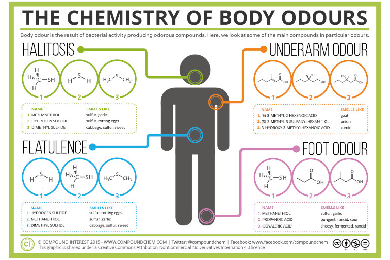 Graphic showing the chemistry of body odor.
