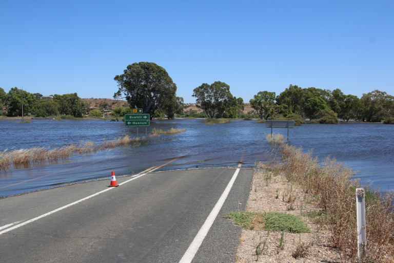 Caught on a flooded island, he discovered that the kindness he had long passed to others had quietly found its way back to him.