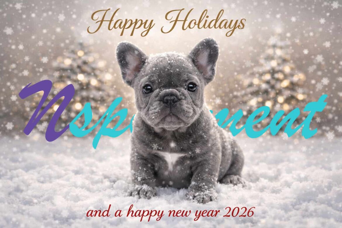 Happy Year of the Dog.