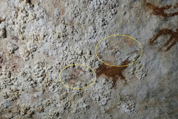 The oldest known rock art to date — 67,800-year-old hand stencils on the wall of a cave.