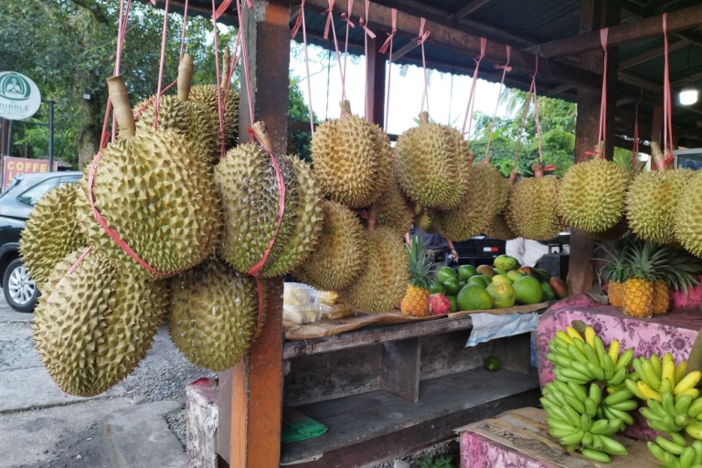 durian