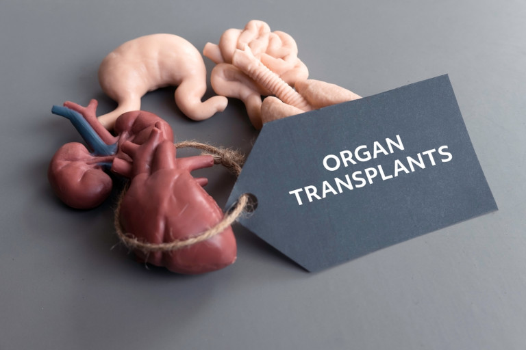 Critics argue that early exposure to organ donation reframes life and death in ways that conflict with long-standing cultural beliefs.