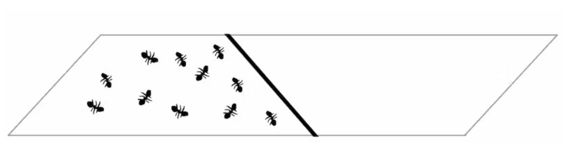 A colony of flat ants in a two-dimensional world doesn’t even know that a world on the other side of the line exists