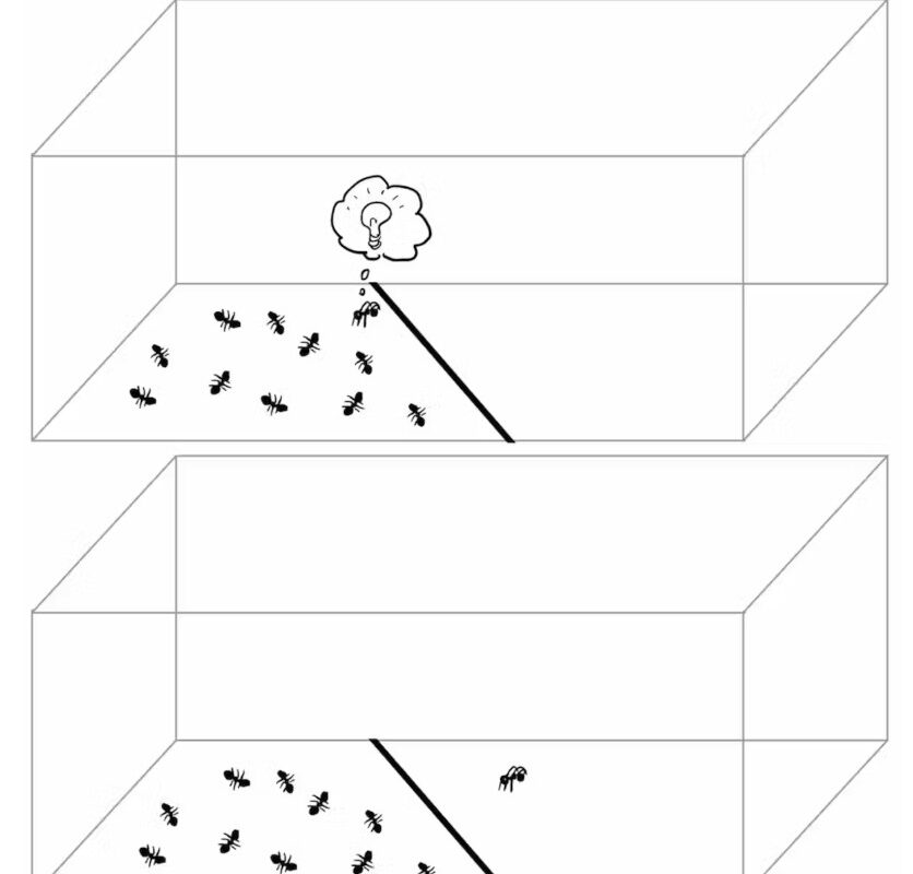 If one ant becomes three-dimensional, it can see across the line and step over it with ease.