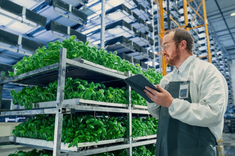 Technician using a tablet to monitor crops inside a large indoor vertical farming facility.