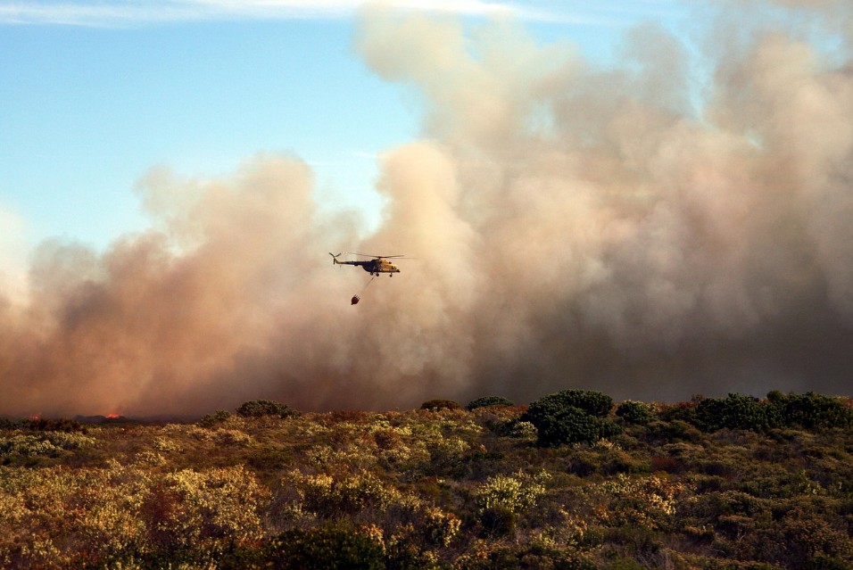 Citizen scientists can use an app to assess vegetation and fire risk.