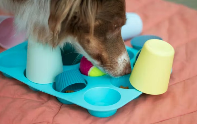 Puzzle feeders are a great way to help pets get more satisfaction out of their food.