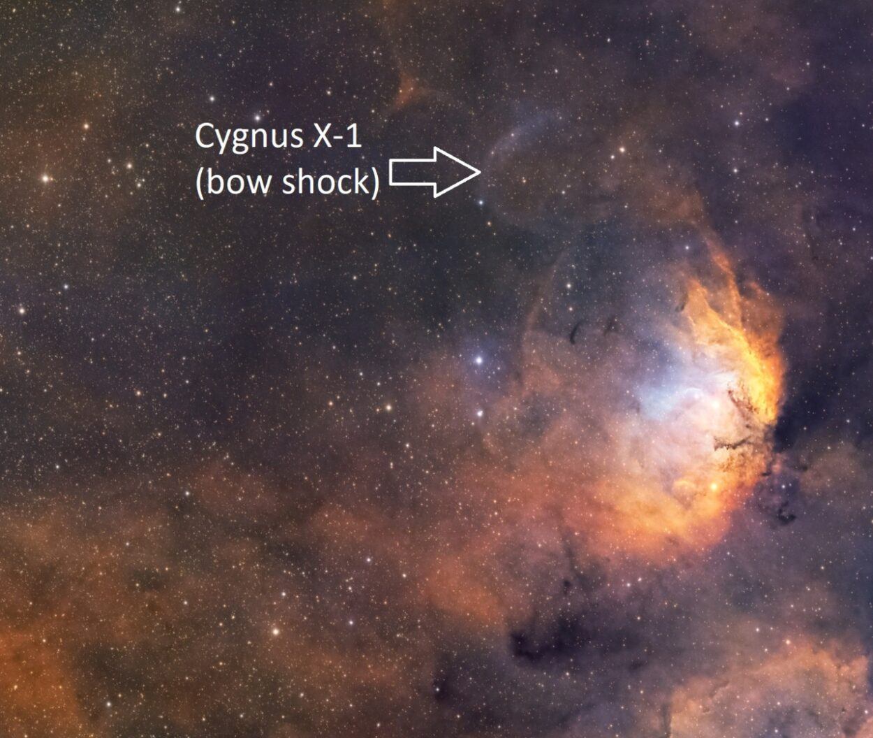 A curved bow shock structure resulting from the Cygnus X-1 accretion disk jet interacting with a dense interstellar cloud.